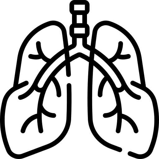 Plicní